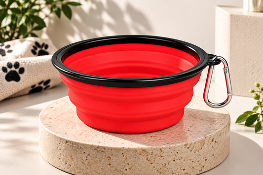 Gamelle Pliable & Portable PetBloom