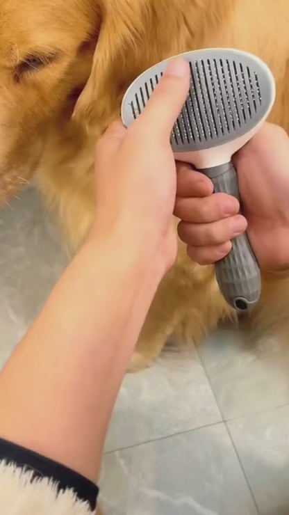 Brosse pour chiens et Chats